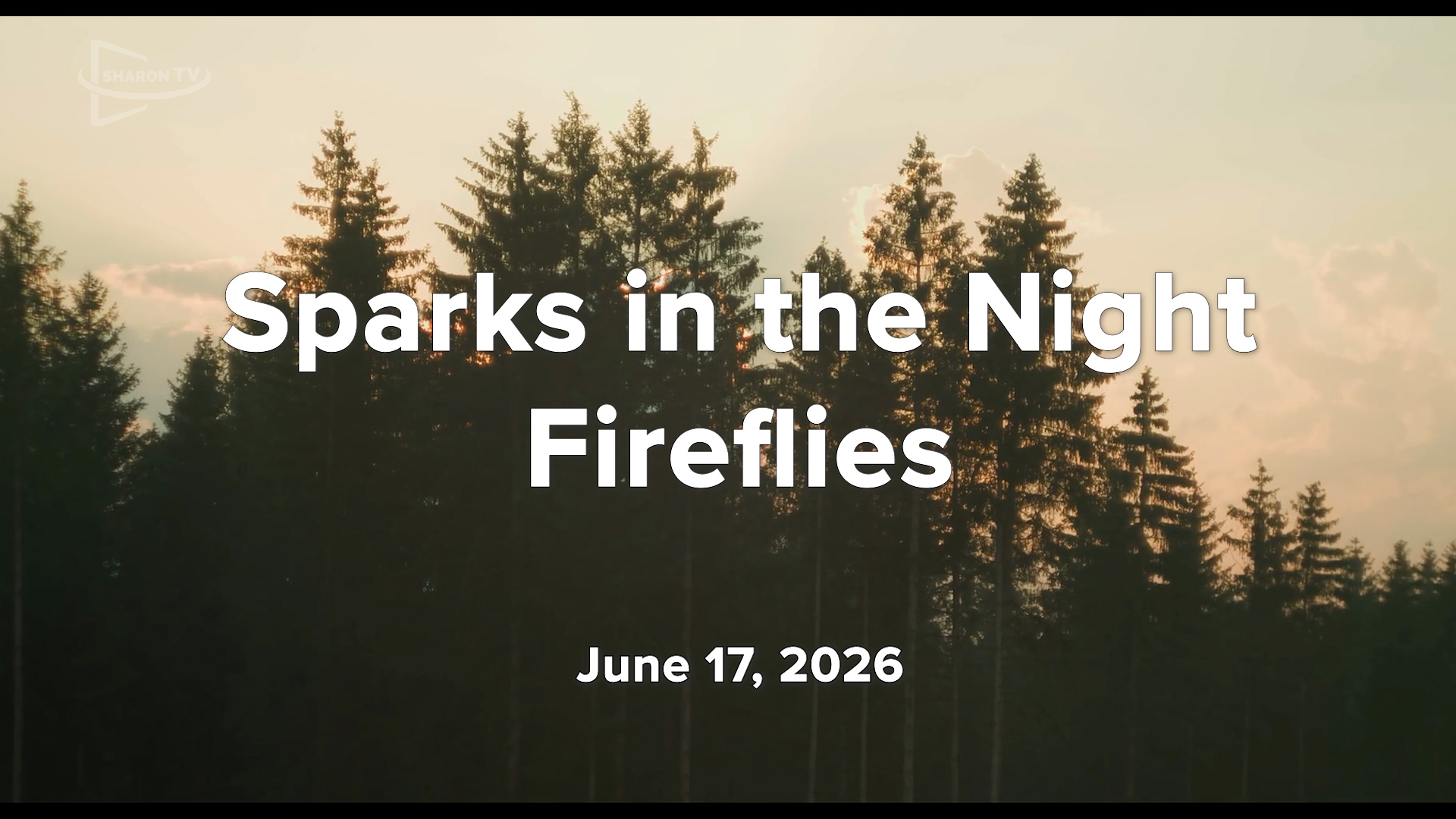 COA: Sparks in the Night: Fireflies